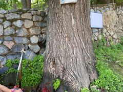 -阳台山自然风景区