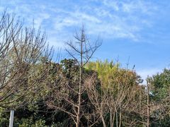 -西安航空职业技术学院航空科技馆