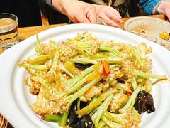 -鸽子窝(青塔店)