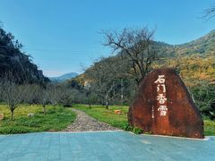 -广州市石门国家森林公园