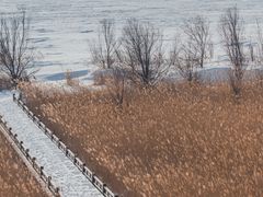-野鸭湖国家湿地公园