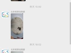 -北京观赏动物医院·24小时大型综合·猫专科·异宠专科
