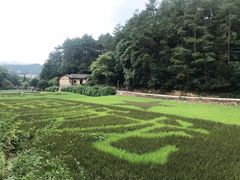 -韶山毛泽东同志故居