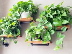 -銘悦阁烤鸭店