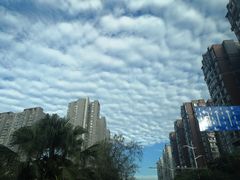 -爱达乐面包生日蛋糕(温江德昆新天地店)