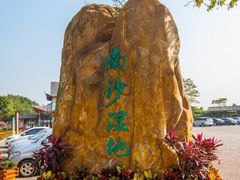 -大湾区中央湿地公园