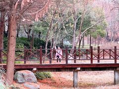 -尚贤河湿地