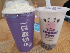 -一只酸奶牛(双流万达广场店)