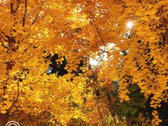 -滇釜火锅·能喝汤的火锅(车公庄店)