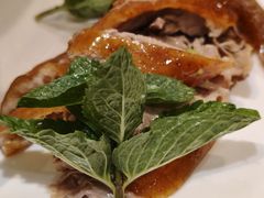 -鸭匠食府·挂炉烤鸭·新京菜(阜成路店)