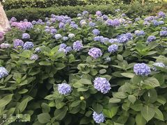 -常州古运河南大街文化旅游区-人民公园