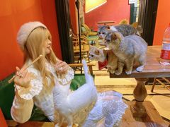 -猫色咖啡·猫咖