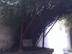 景点-乌镇东栅景区-茅盾故居