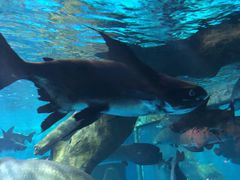 -多彩贵州城极地海洋世界