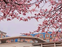 -吉林大学(南岭校区)