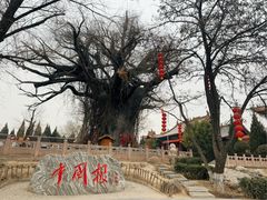 -大槐树寻根祭祖园