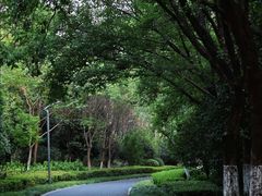 -昆山城市生态森林公园