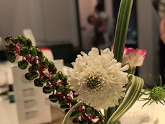 -静香HOUSE·全时段融合餐厅(七星欢乐颂店)