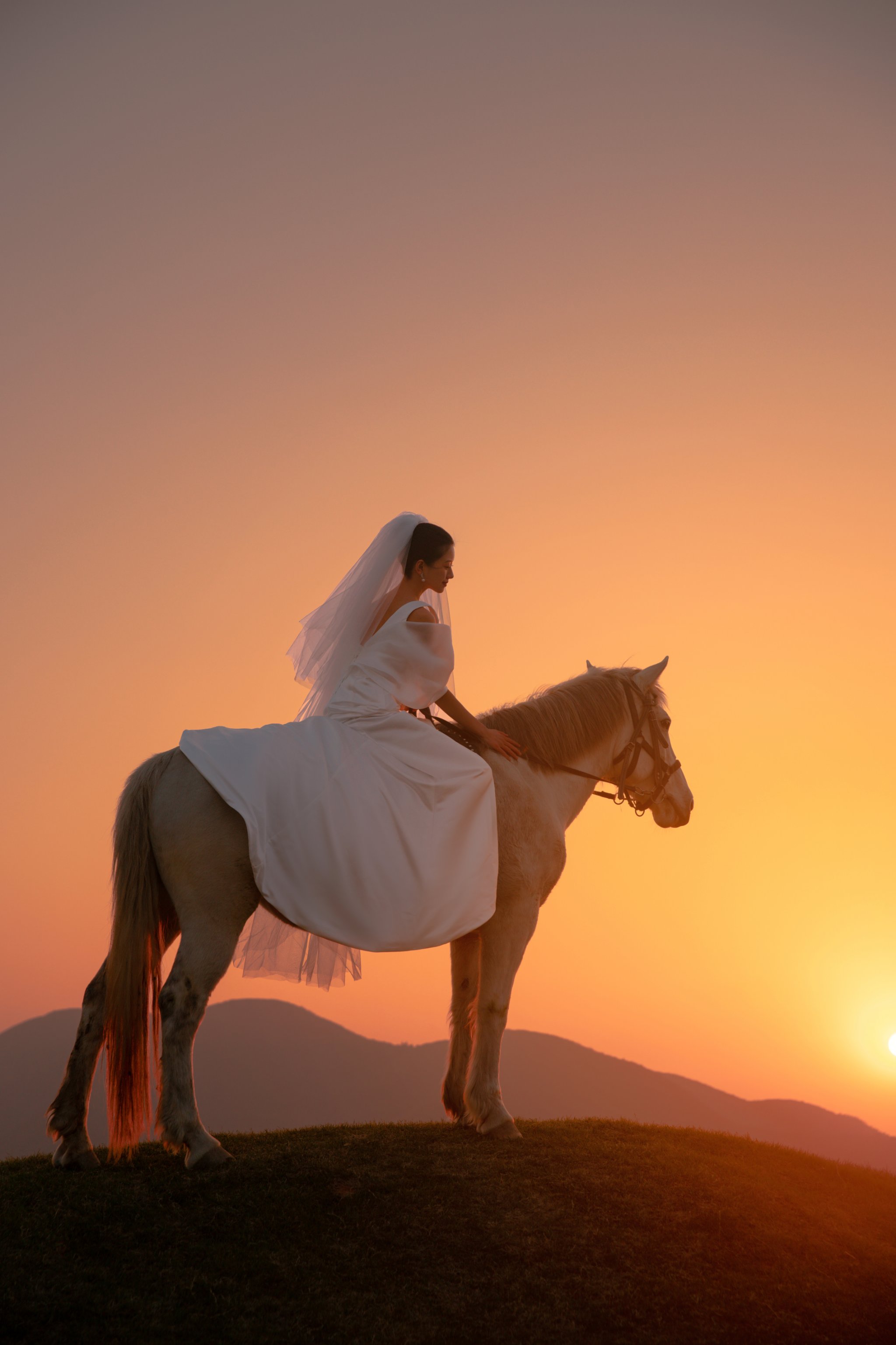 夕阳骑马背影图片大全图片