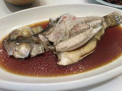 -渔家灯火(明湖店)
