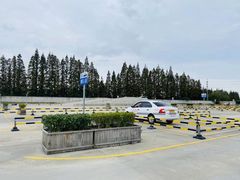 -光明驾校·学车·陪驾(杨浦店)