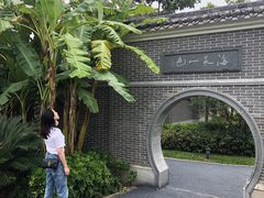 -宝安西湾红树林湿地公园