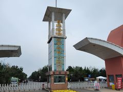 -日照海滨国家森林公园
