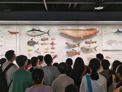 -四川大学博物馆
