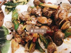 -西单翅酷(西单店)