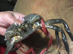 -皮蛋弟砂锅店(总店)