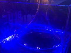 -vimi便利店酒吧