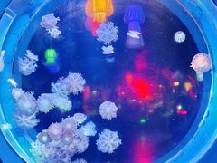 -太平洋海底世界