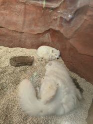 -Zoolung Zoolung动物主题公园(海信广场店)