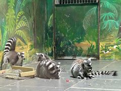 -西安秦岭野生动物园