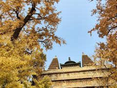 -北京石刻艺术博物馆(五塔寺)