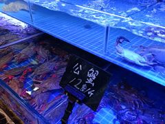 -渔民船说·北塘海鲜·天津菜·海肠捞饭(北塘古镇店)