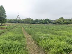 -艾溪湖湿地公园