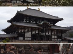 -奈良公园