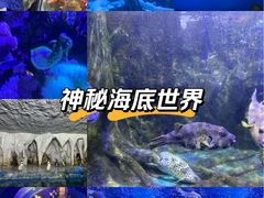 -太平洋海底世界