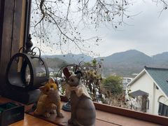 -马灯部落·西湖边的创意山景餐厅(虎跑动物园店)