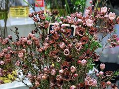 -EPOQUE·一刻花店(兴业太古汇店)
