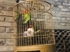 -鱼桥巷·美学川菜