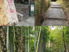 -广东温泉宾馆