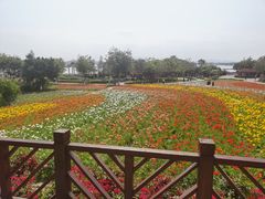 -厦门园林博览苑