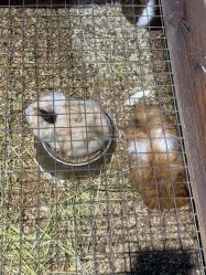 -酷嗒动物文化乐园(cutezoo西溪乐天城店)