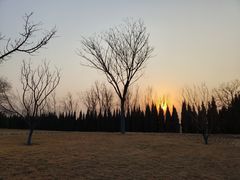 -汉长安城未央宫国家考古遗址公园