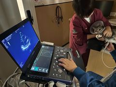 -瑞派康怡24h宠物医院·犬猫医疗中心·微创绝育(瑞景分院)