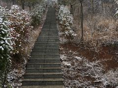 -中国西峡恐龙遗迹园
