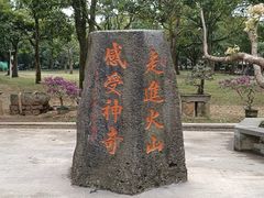 -海口火山口国家地质公园