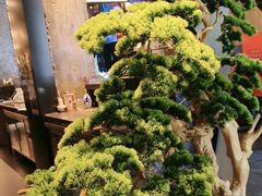 -百富源·海鲜辽菜(和平北大街店)